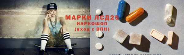 мяу мяу мука Бородино