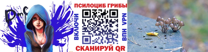 Псилоцибиновые грибы мицелий Купить закладки Сергач